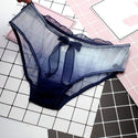 Fashion Gradient Bow Sweet Transparent Sexy Women Panties - 